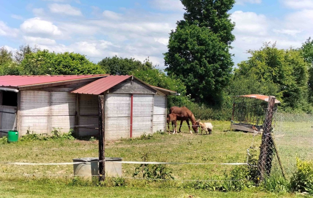 Immobilier des Deux Rives : Domaines / Propriétés | SAINTENY (50500) | 137 m2 | 291 200 € 